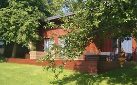 Mini House in the garden - Abri de Jardin